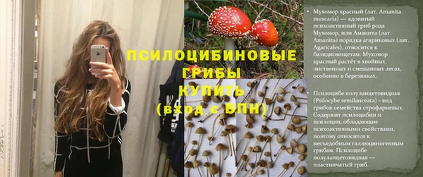каннабис Алзамай